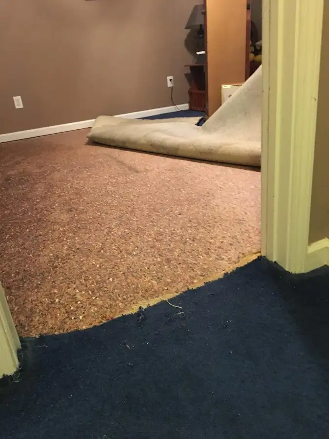 Carpet pad removal revealing water damage during Water Mitigation Services in Berea
