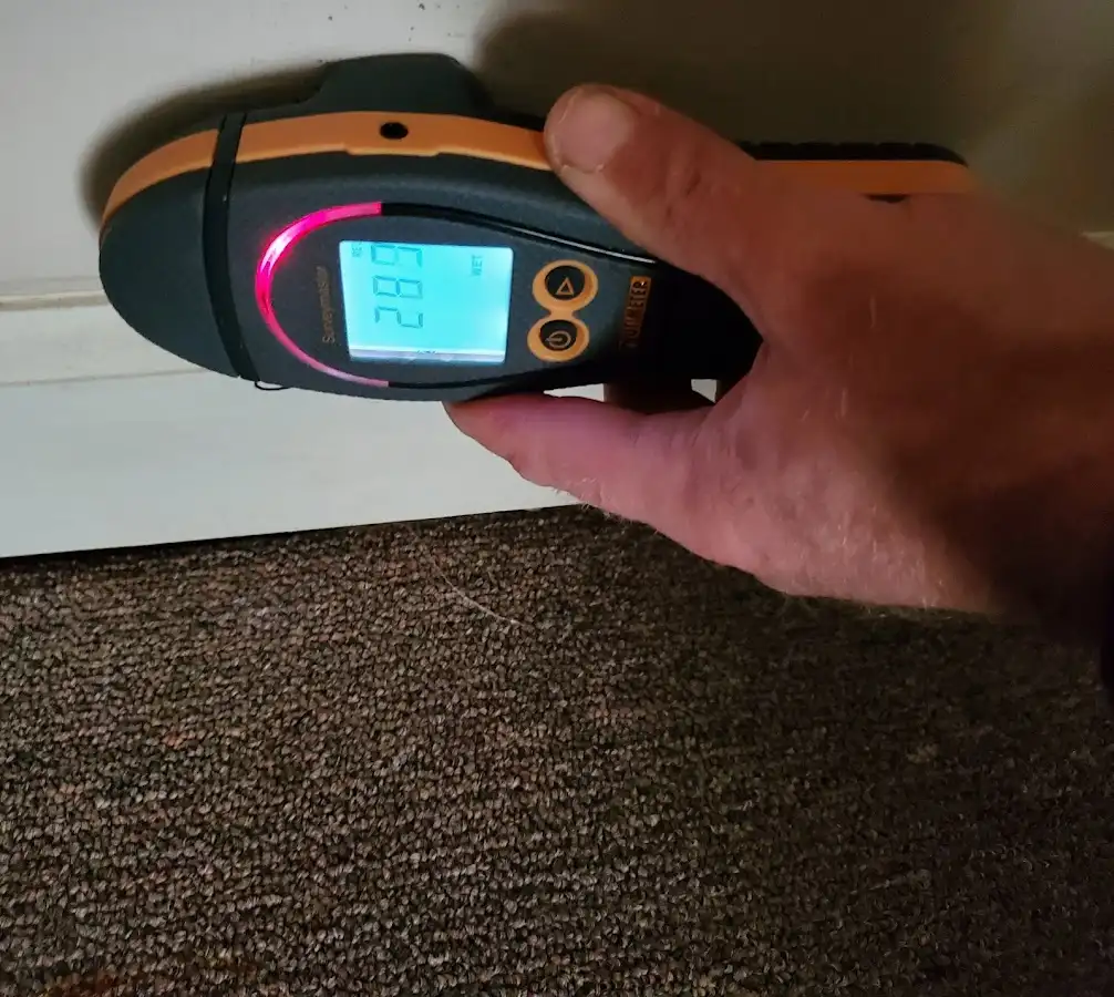 Moisture detection at baseboard during Sewage Cleanup & Sanitation in Berea
